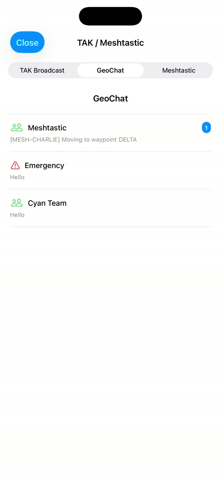 GeoChat