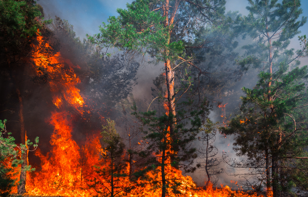 Fire context
